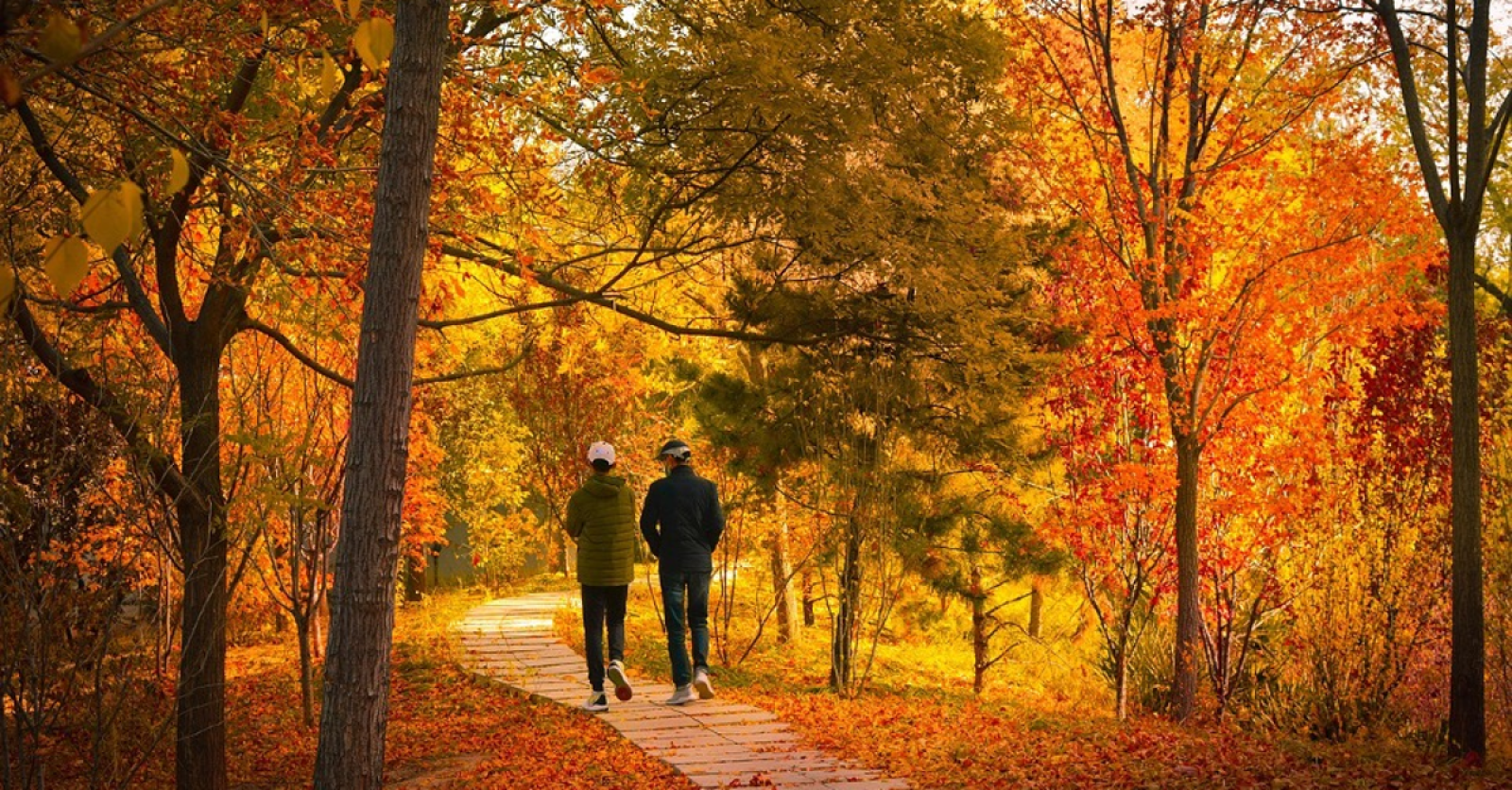 The Beauty of Coaching in Autumn